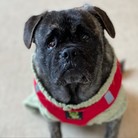 Wilbur