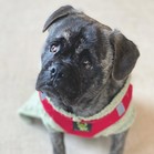 Wilbur