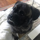 Wilbur