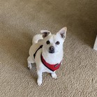Spunky