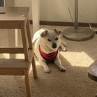 Spunky