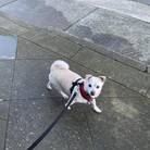Spunky