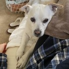 Spunky