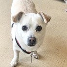 Spunky