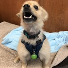 Tim