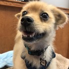Tim