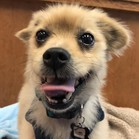 Tim
