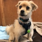 Tim