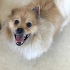 Tim