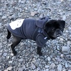 Pumba Gomez