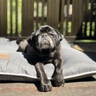 Pumba Gomez