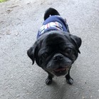 Pumba Gomez