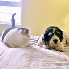 Lucy & Larry
