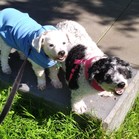Lucy & Larry