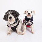 Lucy & Larry