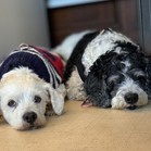 Lucy & Larry