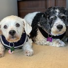Lucy & Larry