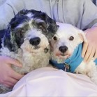 Lucy & Larry