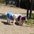 Lucy & Larry