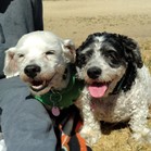 Lucy & Larry