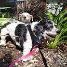 Lucy & Larry