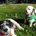 Lucy & Larry