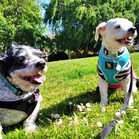 Lucy & Larry
