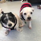 Lucy & Larry