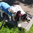 Lucy & Larry