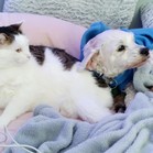 Lucy & Larry