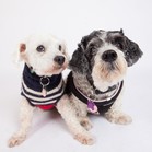 Lucy & Larry