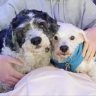 Lucy & Larry