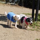 Lucy & Larry