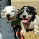 Lucy & Larry