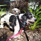 Lucy & Larry