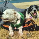 Lucy & Larry