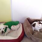 Lucy & Larry