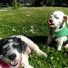 Lucy & Larry