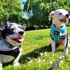 Lucy & Larry