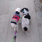 Lucy & Larry