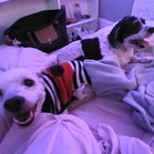 Lucy & Larry
