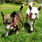 Mami & Pigna