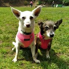 Mami & Pigna