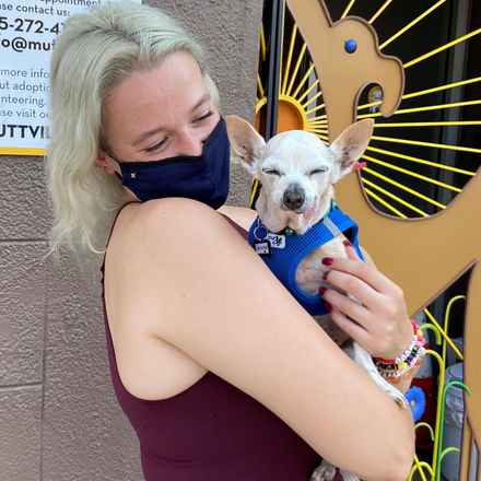 Parmesan (decseased)