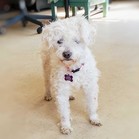 Britta