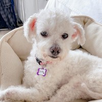 Britta