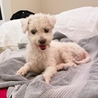 Britta