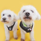 Tucker & Charley