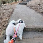 Tucker & Charley