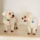 Tucker & Charley